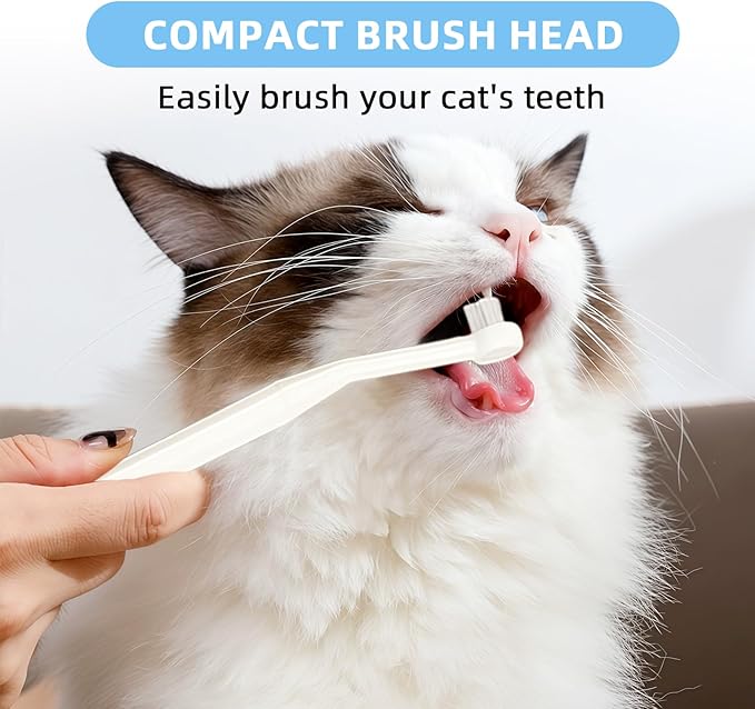 HOP Cat Toothbrush,Dental Care Kit of 2 Micro Head Toothbrushes and Toothpaste, Soft Bristles for Small Dogs and Cats,Daily Oral Cleaning and Freshen Breath