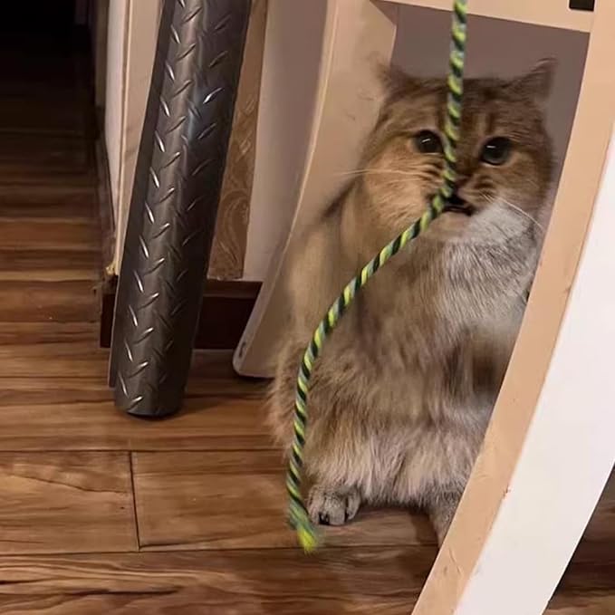 Cat Wand Toys, 3 PCS String Kitten Toys Colorful Hemp Rope Kitten Stick Kitty Teaser Wand Interactive Cat Toys for Indoor Playing