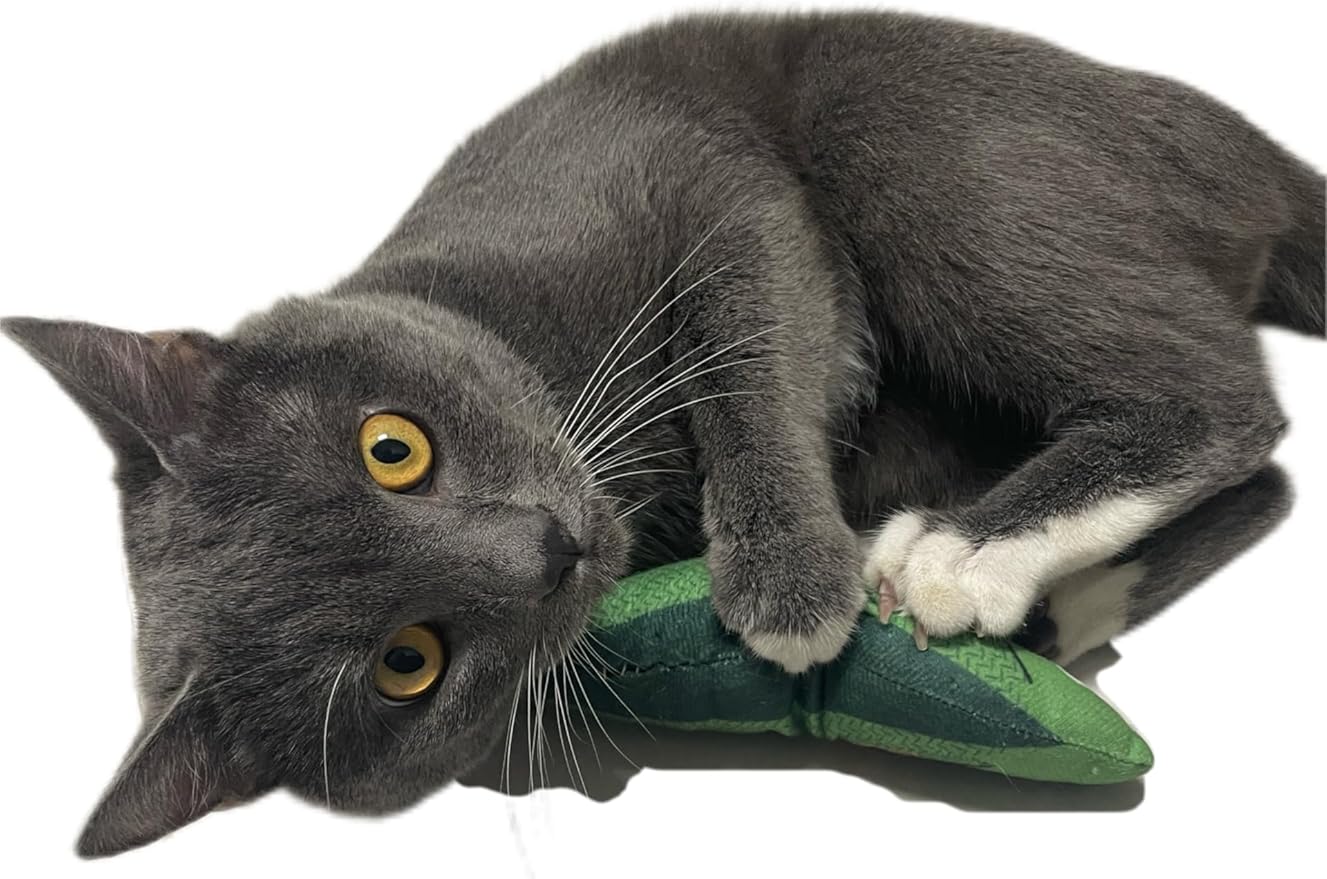 Cat Toys Saury Fish, 3 Pack, Catnip Crinkle Sound, Soft and Durable, Interactive Kitten Kicker for Indoor Kitty Exercise 9.4 Inches for All Breeds