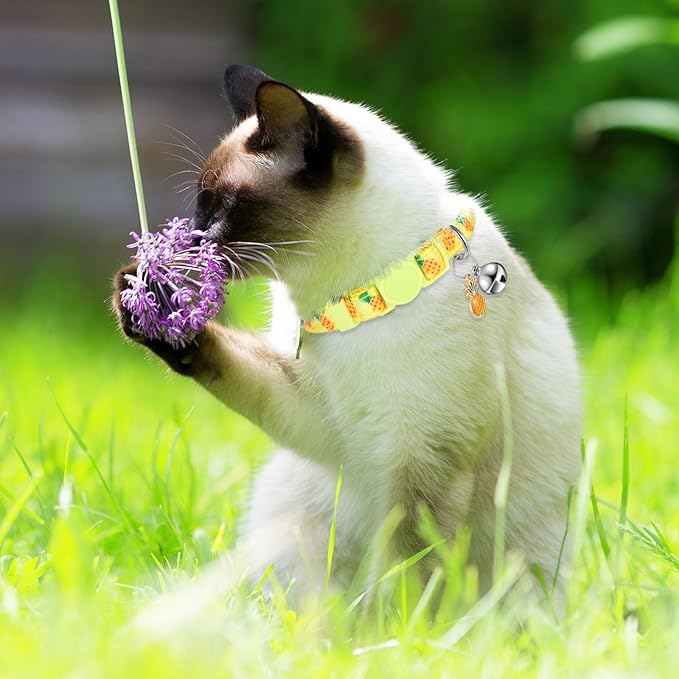 Frienda 12 Pcs Spring Summer Breakaway Cats Collars Girl Cat Safety Adjustable Collars with Bell and Summer Fruit Patterns Pendants Set for Pets Decoration(Small)