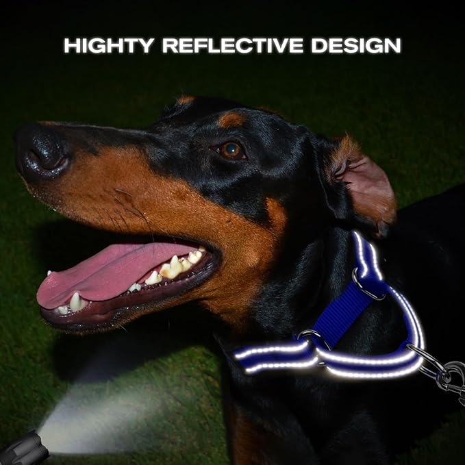 Joytale Martingale Collar for Dogs, Reflective Heavy Duty for Safety, Quick Release Buckle, Adjustable Nylon Collars for Large Dogs Walking Training, Navy Blue,L