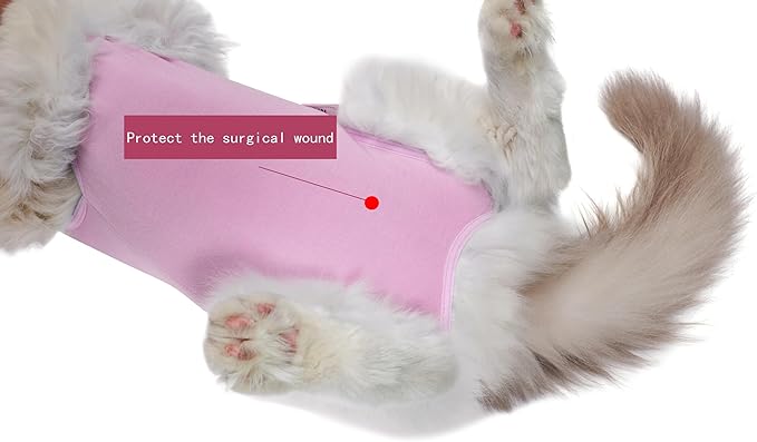 Cat Recovery Suit Female Kitten Onesie for Cats After Surgery Female Spay Surgical Abdominal Wound Skin Diseases Cone Collar Soft Alternative Wear (Pink, S)