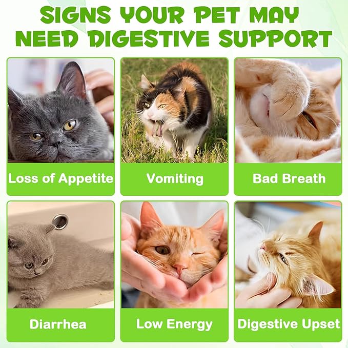 Probiotic for Cats, Natural 3 in 1 Cat Probiotic Drops Helps to Relieve Diarrhea, Supports Gut Health, Itchy Skin Relief, Allergies & Immunity, Digestive Enzyme Cat Supplement Drops - 60 ml / 2 fl.oz