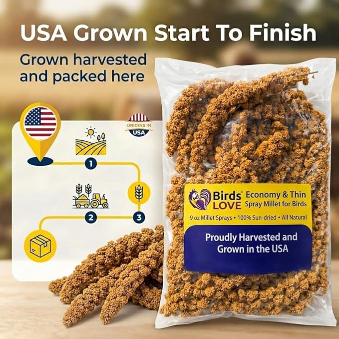 9 oz Spray Millet for Birds – GMO-Free, No Stems (Only Edible Tops) – 100% Natural Sun-Dried Foraging Treat for Cockatiels, Lovebirds, Parakeets, Finches & Canaries