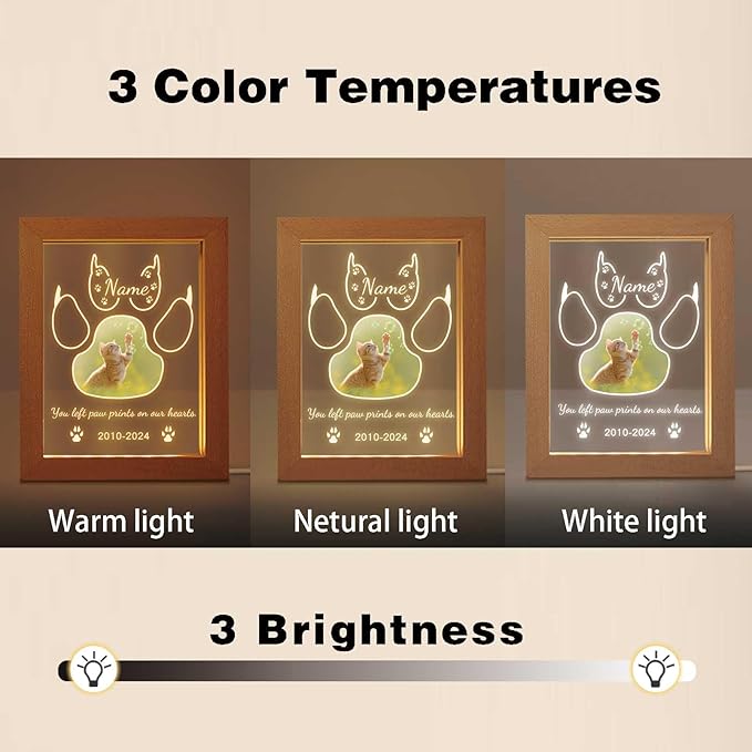 Personalized Cat Memorial Gift Night Light Customized Light Up Picture Frame Acrylic Led Plaque Lamp Pet Sympathy Remembrance Gift(Cat)