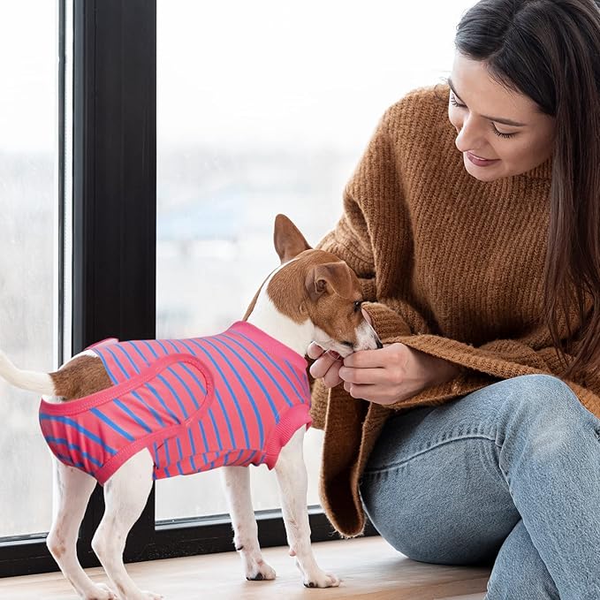 Dog Surgery Recovery Suit, Recovery Shirt for Male Female Dog Cats, Cone E-Collar Alternative Abdominal Wounds Spay Bandages Onesie, Anti-Licking Pet Surgical Recovery Suit,Pink Small