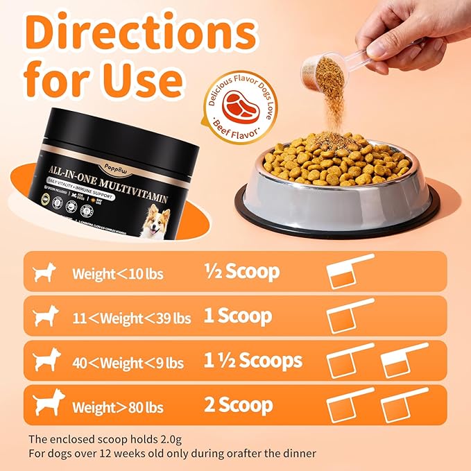 Dog Vitamins and Supplements for Daily Energy, Immune, Antioxidants, Gut, Skin & Coat, Dog Multivitamin Powder for Homemade Food with L-Carnitine, Taurine, Probiotics - Beef Flavor, 75 Scoops