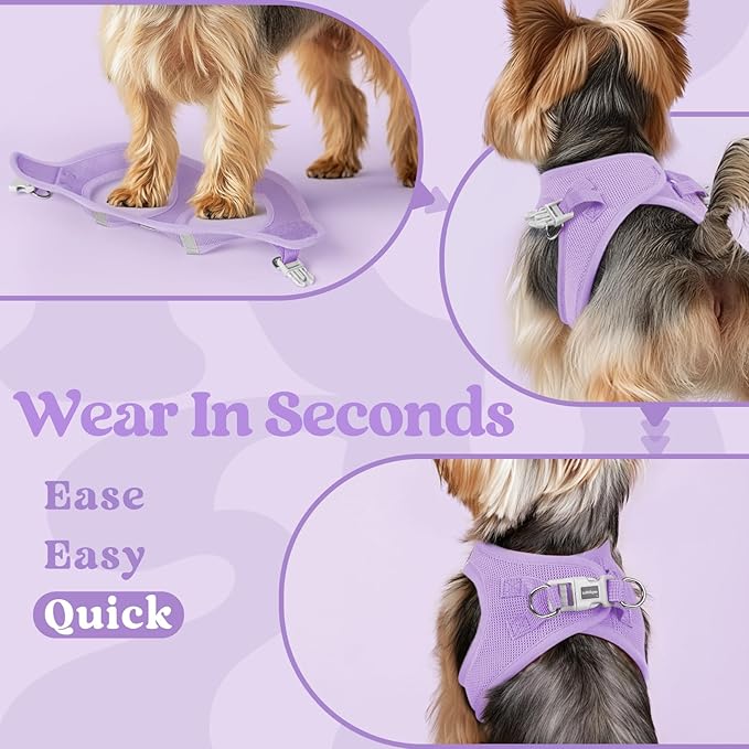 rabbitgoo Small Dog Harness, Step-in Soft Mesh Puppy Vest with Safety Buckle, Breathable Reflective Pet Harness for Small Medium Dogs, Light Purple XL