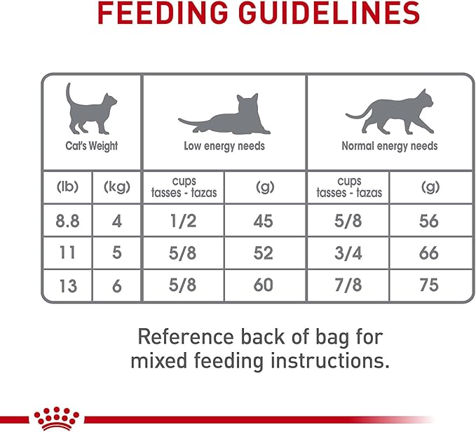 Royal Canin Feline Care Nutrition Dental Care Adult Dry Cat Food, 3 lb Bag