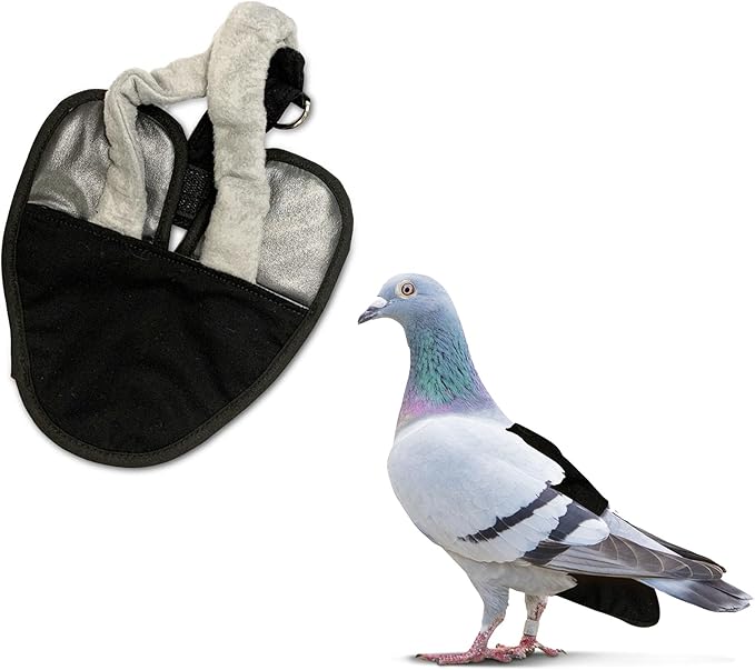 Hen Holster Premium Starter Kit - Bird Diaper, Wrap Around for Larger Pigeons, Small Breed Hens & Roosters - Leak-Proof, Comfortable Bird Harness with Sewn-in Liner & Hook & Loop Closure - XS, Black