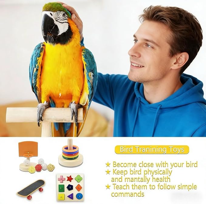 5 Packs Bird Toys Parrot Training Toys Parrot Wooden Block Puzzles Toy Bird Basketball Toy Small Sepak Takraw Bird Skateboard Bird Stacking Toy for Birds Parrot Training