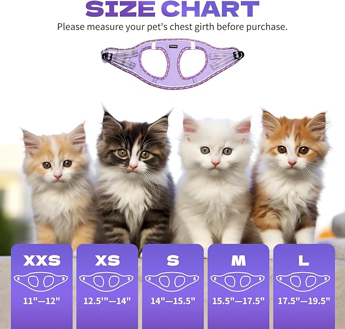 Rttochfy Cat Harness and Leash Set, Escape Proof Kitten Harness, Soft and Breathable Vest with Reflective Strip, Easy to Wear for Cats Walking and Traveling (Blue, XXS)