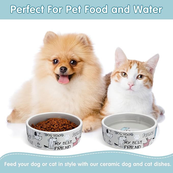 Maxcheck 2 Pcs 5 Inch Ceramic Dog Bowls Dishes for Small Dogs Cute Cartoon Pattern Puppy Cat Bowls Heavy Food Water Dishes for Pets Feeding Travel, Dishwasher Safe Microwave Safe (Gray)