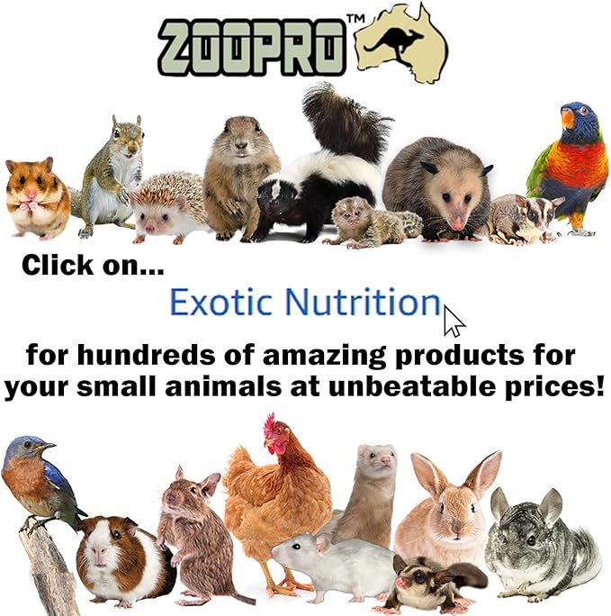 Exotic Nutrition Bee-Tastic - Healthy All-Natural Chicken Treat - Dried Insects, Flowers, Herbs Wheat Berries & Bee Pollen - Promotes Healthy Chickens & Eggs (7 oz)