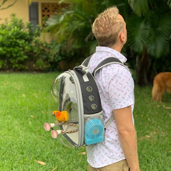 Bird Traval Carrier Cage, Clear Space Capsule Astronaut Backpack to Carry Parakeet Cockatiel Parrot with Metal Tray Wood Perch Bird Feeder, Vet Transport School Bag