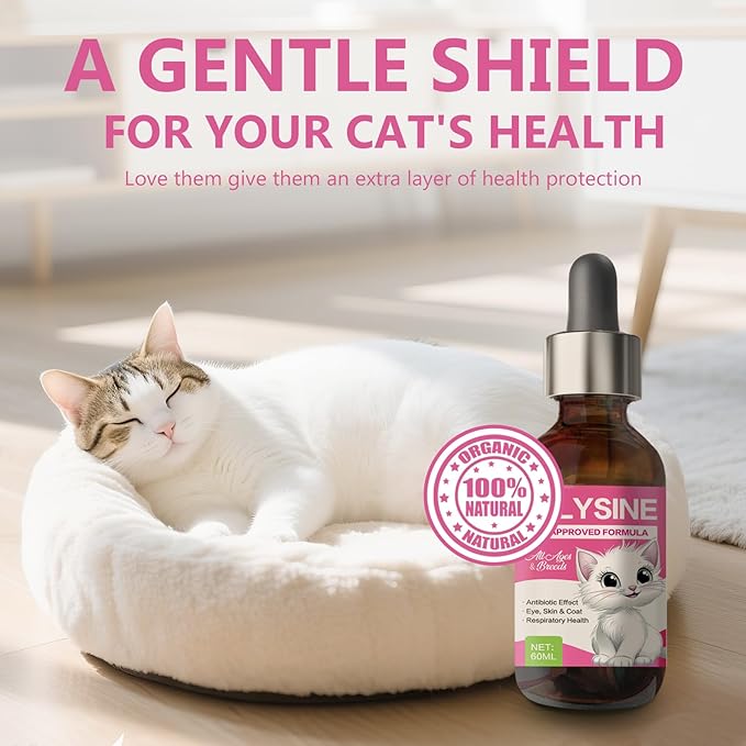 L-Lysine for Cats,Immune Support,Tasty Chicken Flavor L-Lysine Supplement for Daily Wellness & Vitality - 60ML with Dropper for Easy Dosing