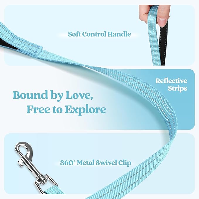 rabbitgoo Dog Harness Small Sized and Leash Set, Step in Soft Light Puppy Vest, Breathable Mesh Pet Harness, Reflective for Safe Easy Walking, Mint Blue XS