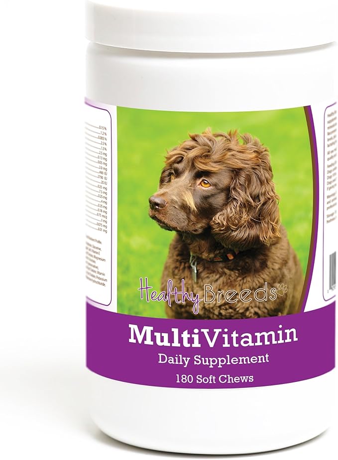 Healthy Breeds Boykin Spaniel Multivitamin Soft Chew for Dogs 180 Count