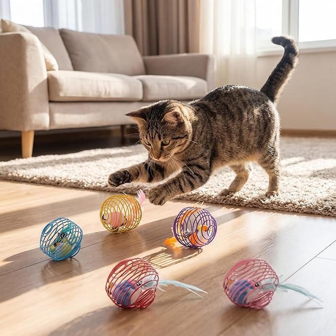 Jecery 5 Pcs Cat Spring Balls Toys Stretchable Rolling Balls Colorful Playful Coils Interactive Action Toy Caged Rats for Kitten Pet Supplies (Bird,Multicolor)