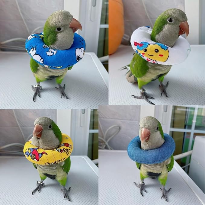 Parrot Neck Collar Pet Anti-bite Picking Feather Healing Protective Neck Cover Collar for Birds Conures Cockatiels Lovebirds Budgies Cockatoos African Grey Random Color (S)