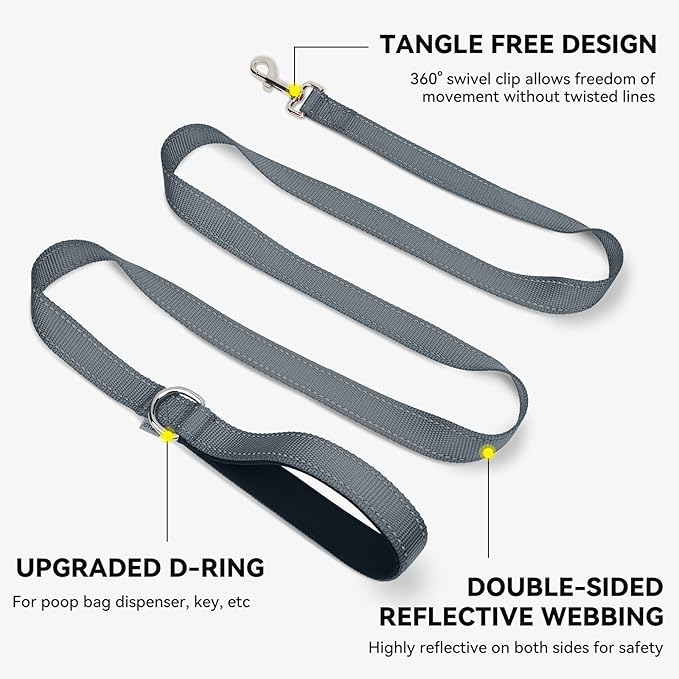 Joytale Dog Leash, 6 FT Double-Sided Reflective, Padded Handle Nylon Heavy Duty Leashes for Small Dogs Walking, Grey