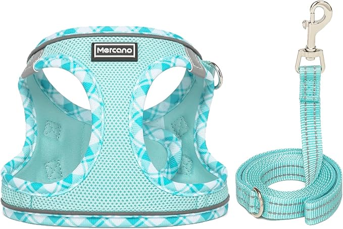 Mercano Soft Mesh Dog Harness and Leash Set, No-Chock Step-in Reflective Breathable Lightweight Easy Walk Vest Harnesses with Safety Buckle for Small Dogs, Cats (Light Blue, XS)