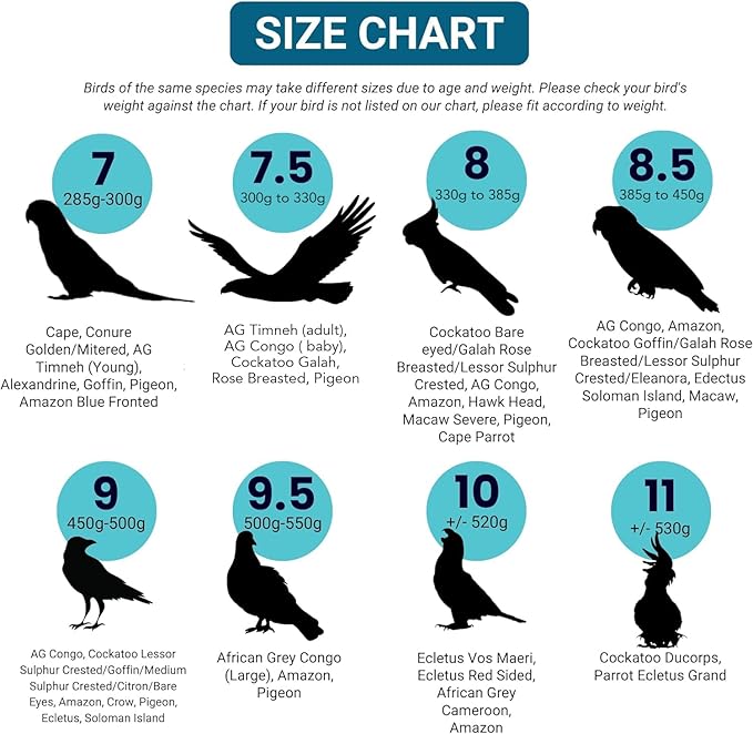 Bev's Bird Boutique Regular Flyper Adjustable Bird Diaper | Reusable, Washable Cloth | Comfort Fit for Parrot, Cockatiels, & Other Small Birds | Fashionable Avian Accessories, Tuxedo, Size 16
