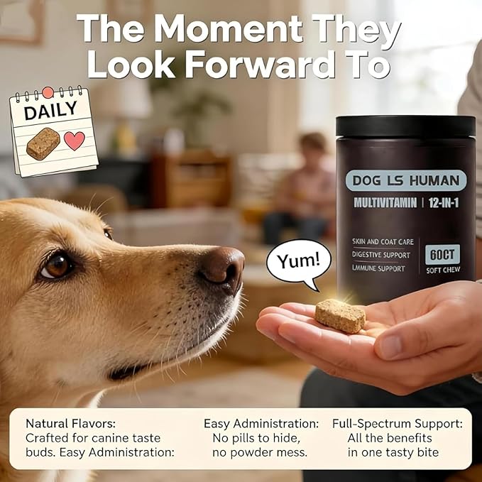 Dog Is Human Multivitamin for Dogs,Pet Vitamins Supplements for Skin and Hair,60 Chews (1PCS)