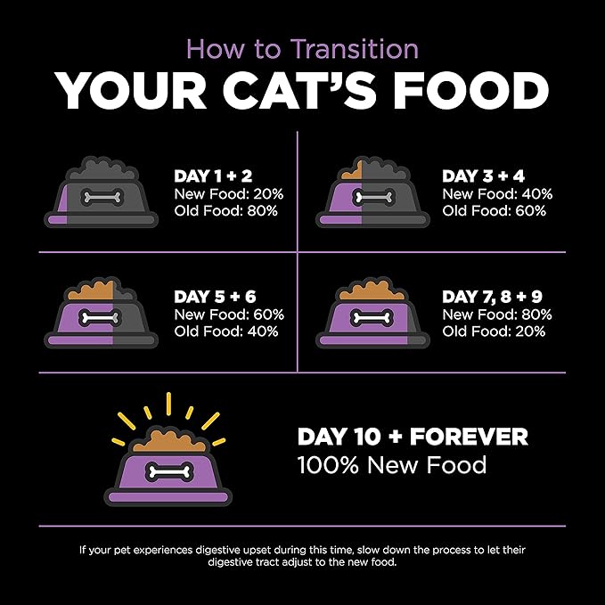 Go! Solutions Carnivore Chicken, Turkey + Duck Grain-Free Dry Cat Food, Our Highest-Protein Kibble Made with Real Meat & Fish, Cranberries for Urinary Health, for Kittens, Adults & Seniors, 8 lb Bag