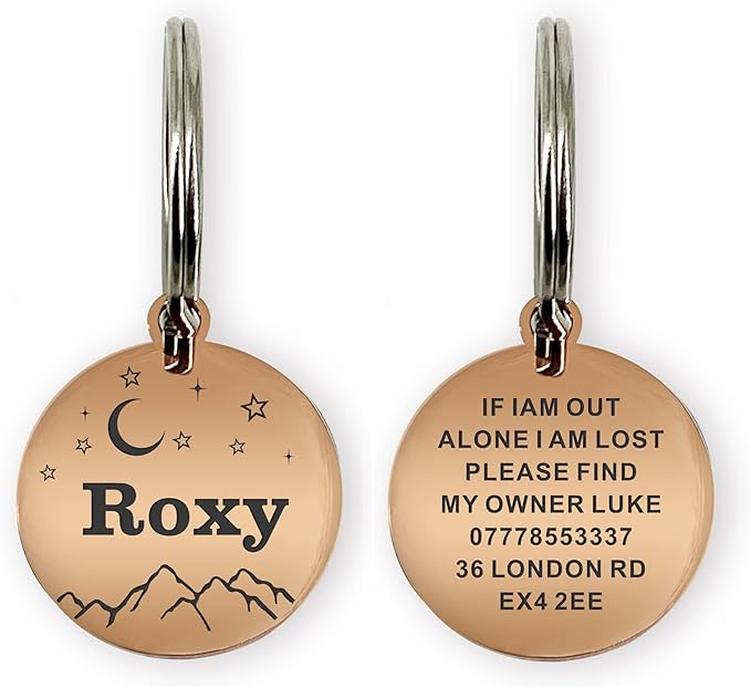 L Champagne Gold Stainless Steel Personalized Dog & Cat Tags - Engraved on Both Sides, Small & Large Sizes, Custom Text
