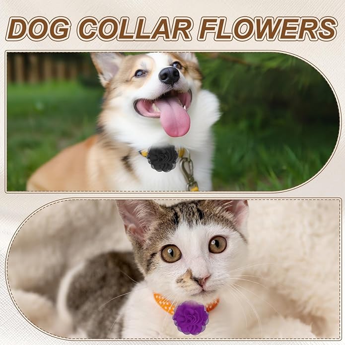 Dog Collar Flowers, Pet Flower Charms Soft Chiffon Cat Collar Bow Tie Floral Grooming Supplies, Intended for Dog