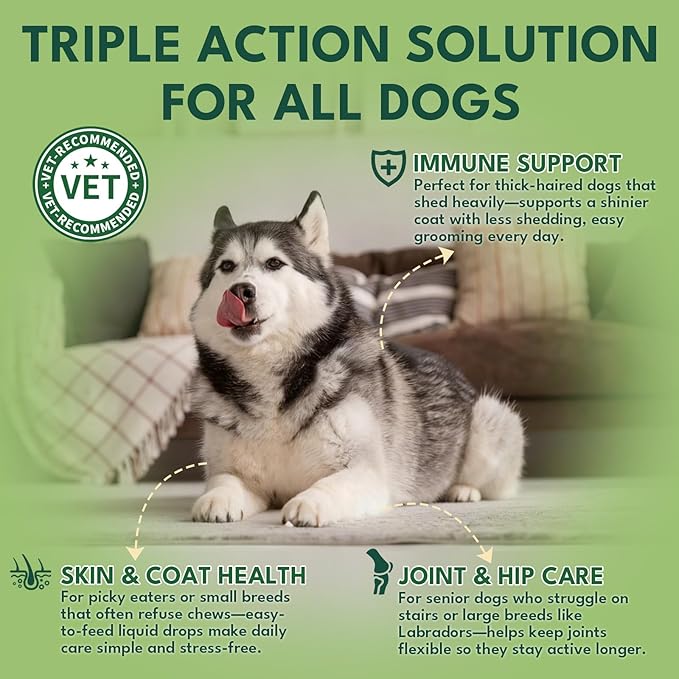 Liquid Collagen for Dogs, Natural Dog Collagen for Skin & Coat Support, Immune Support, Joint & Mobility Care with MSM, Middle-Aged and Older Dogs (Bacon Flavor - 60ml 2 Pack)