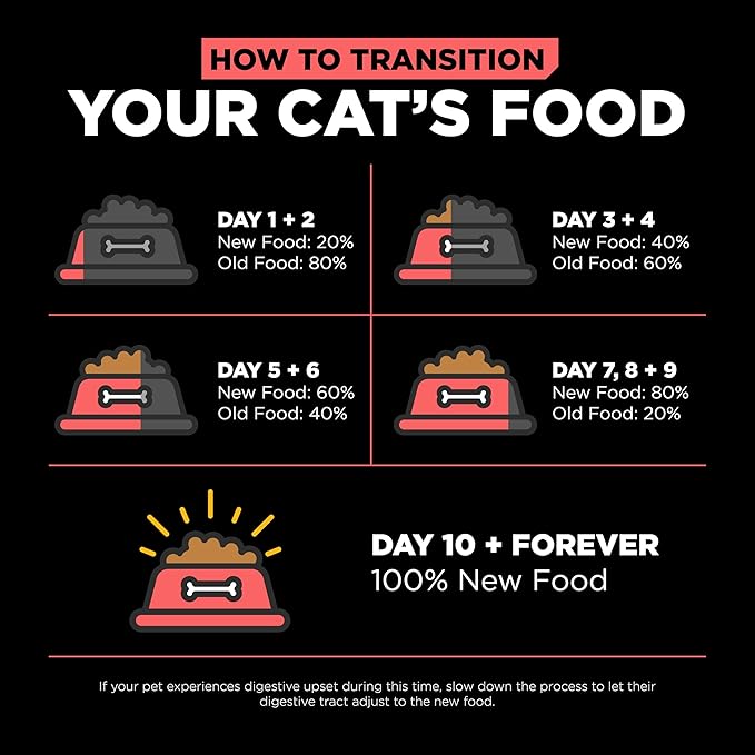 Go! Solutions Carnivore Salmon + Cod Grain-Free Dry Cat Food, Our Highest-Protein Kibble Made with Real Meat & Fish, Chicken-Free Recipe, for Kittens, Adults & Seniors, 3 lb Bag