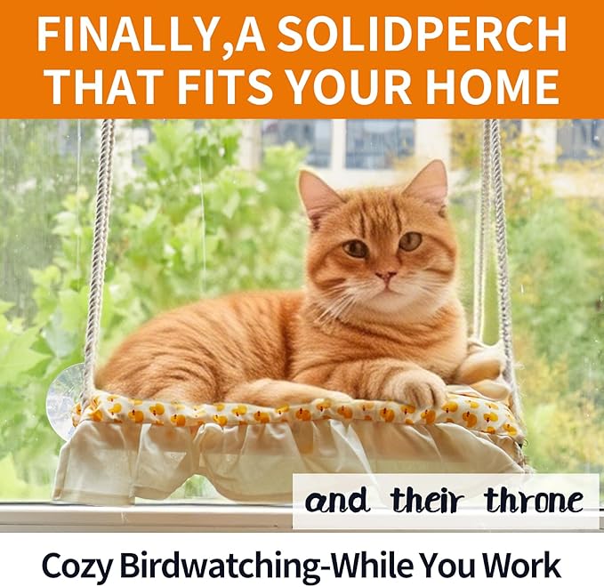 Cat Window Perch, Heavy Duty 20KG/44LB Suction Cup Hammock Bed with Soft Cushion, Secure & Stable Window Mount for Lazy Time, Bird Watching, Safe for Large Cats, 18.9"x14.5" (Little Bear)