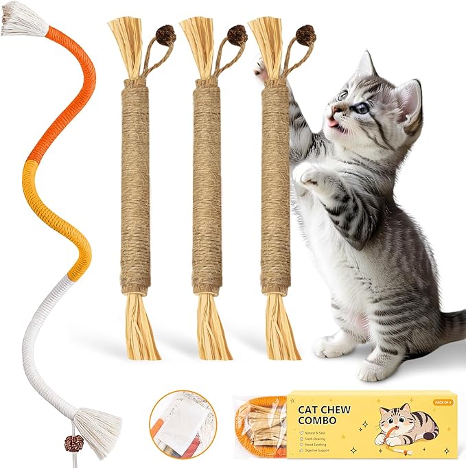 Toys for Indoor Cats Silvervine Sticks 3Pcs with Gall Fruit, Cat Chew Ropes 1Pcs, Interactive Catnip Toy for Kittens Dental Care Teeth Cleaning Orange