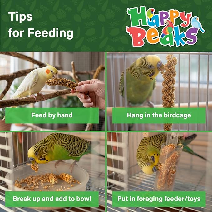 A&E Cage Co AE9055 Premium French Millet Spray - 5lb Bulk Box Natural Spray Millet for Birds - Healthy Bird Treat for Parakeets, Budgies, Cockatiels, Finches & Small Birds