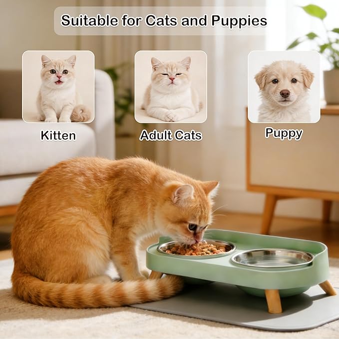 Elevated Cat Bowls with Food Mat, Splash Proof Anti Vomiting Raised Cat Food and Water Bowl Set, 2 Stainless Steel Dishes for Cats and Puppy, Pet Bowl for Indoor Cats Green