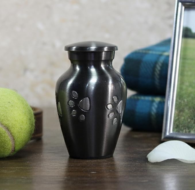 eSplanade cat Dog pet Cremation Mini Heart urn Keepsake Memorial | Small urn for Ashes Funeral Burial