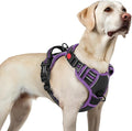 rabbitgoo Dog Harness for Large, No Pull Pet Harness with 3 Buckles, Adjustable Soft Padded Vest with Control Handle, Walking Reflective Pet Vest for Large Dogs, Black & Purple, L