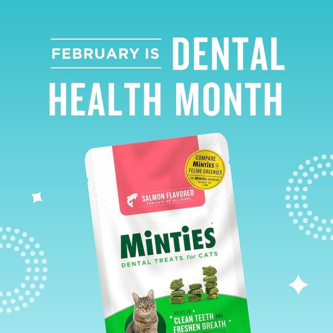 Minties Dental Treats for Cats, Salmon Flavored Cat Dental Treats, Freshens Breath and Controls Tartar, 10oz