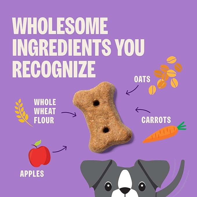 Old Mother Hubbard Wellness Hip & Joint Dog Biscuits, Natural, Training Treats, Chicken, Apples, Oats, and Carrots Flavor, Mini Size, (20 Ounce Bag)