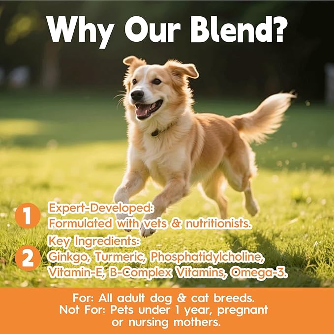 Pet Ginkgo Brain & Heart Support Drops, for Dogs & Cats: Cognitive & Memory Support, Blood Pressure, Cholesterol, Fights Mental Fog, with Curcumin & Lecithin & Multivitamins ﻿