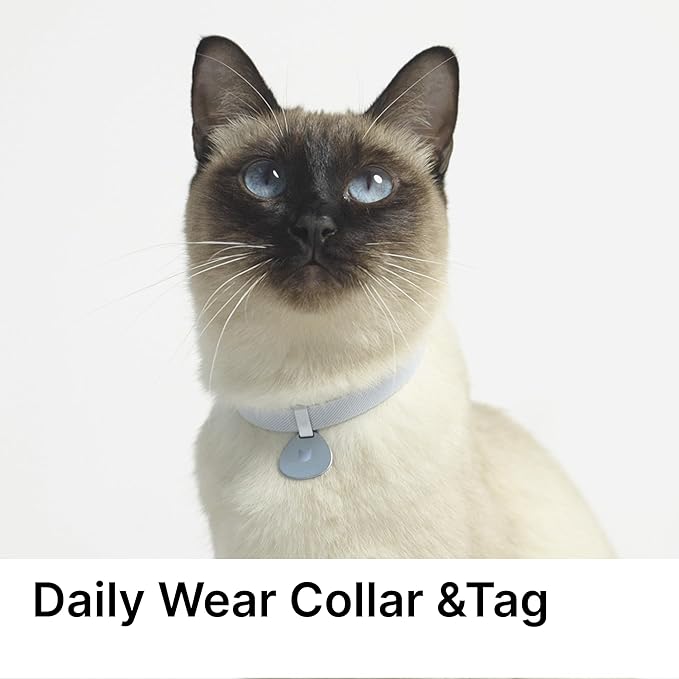 Engraved Pet ID Tag - Personalized Name Tag Engraved Cat Collar Charms, Aluminum Alloy Custom Cat Name Tag for Kitten Small Large Cats (Pocket-Sierra Blue)
