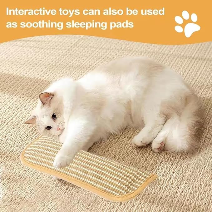 Interactive Catnip Chew Toy 2 Pack Catnip Kicker Soft Sisal Pillow for Cats with 6000mg Organic Catn IP Durable Bite Resistant Kicking Chewing Teething Scratching for Indoor Kitten and Adult Cat (2PC)