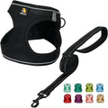 BELLA & PAL Step in Vest Harness for Small and Medium Dogs, No Pull Small Dog Harness with Leash Set, Comfortable Air Mesh Dog Vest Harness with Reflective Strip (Deep Black, S)