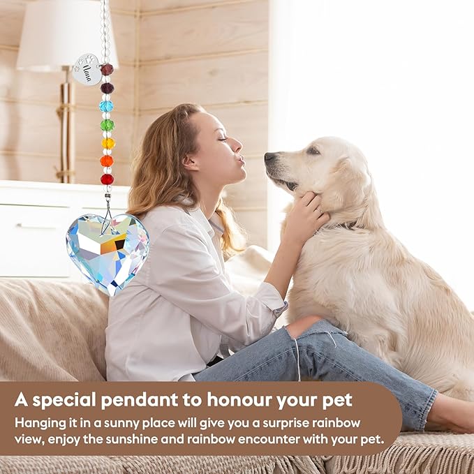 Rainbow Bridge Pets Personalized Crystal Light Catcher Cat/Dog Keepsake Pet Loss Sympathy Gift (Heart)