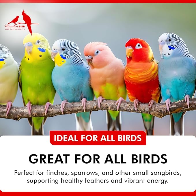 Morning Bird Liquid Iodine for Birds 2 fl oz – Iodine Mineral Supplement – Supports Feather Growth, Molting, Energy & Healthy Thyroid Function – Easy-to-Use Drops