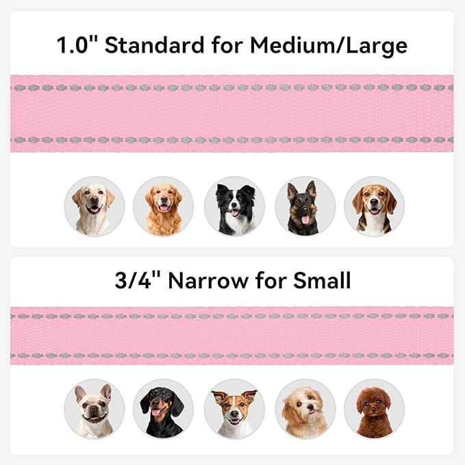 Joytale Dog Leash, 5 FT Double-Sided Reflective, Padded Handle Nylon Heavy Duty Leashes for Medium & Large Dogs Walking, Pink
