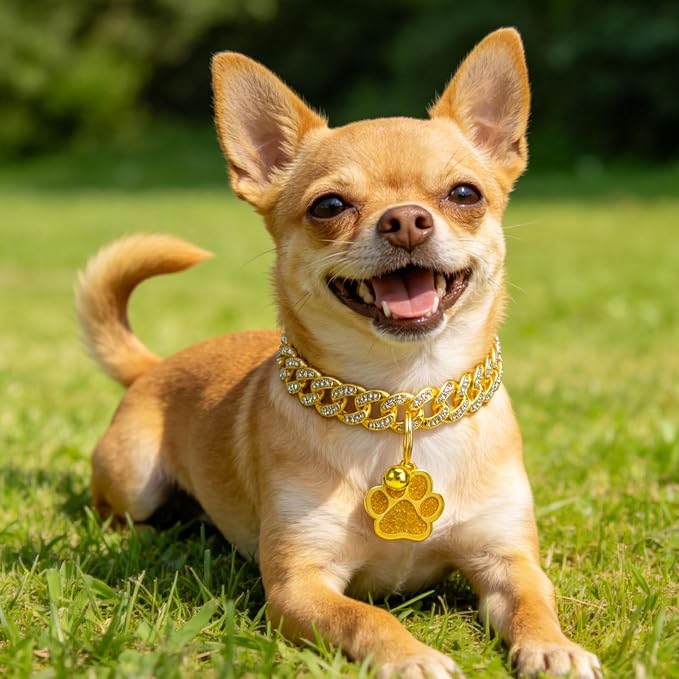 EXPAWLORER Cat Collar Chain,Diamond Gold Glitter Collar Walking Metal with Secure Buckle Link Cuban Pet Rhinestones Necklace Accessories with Paw Charm and Bell for Cats Dogs Kittens (10 Inch,Gold)