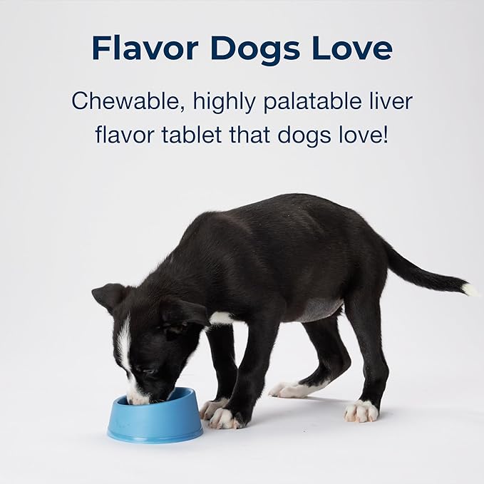 PetAg Sure Grow 100 - Promotes Optimal Bone Development in Puppies Eight Weeks and Older - with Calcium, Phosphorus, and Vitamins A & D - 100 Chewable Tablets